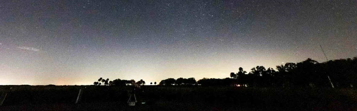 18 Amazing Things to do in Kissimmee Prairie Preserve State Park