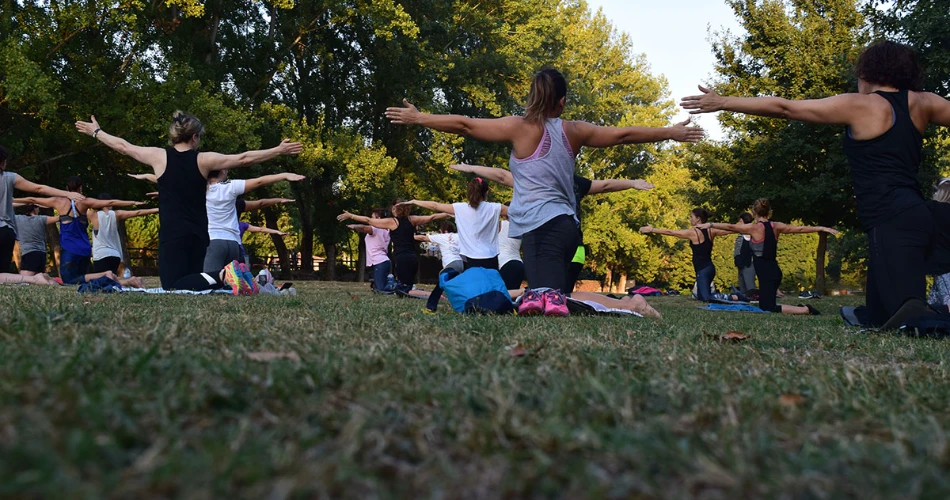  A Guide to Lake Eola Park: The Heart of Downtown Orlando