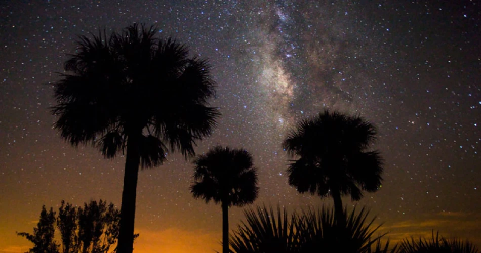18 Amazing Things to do in Kissimmee Prairie Preserve State Park