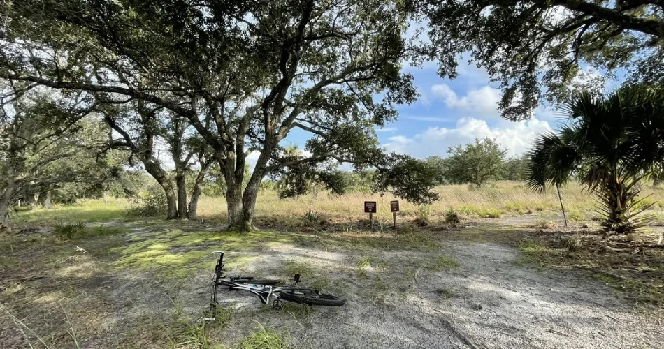 18 Amazing Things to do in Kissimmee Prairie Preserve State Park