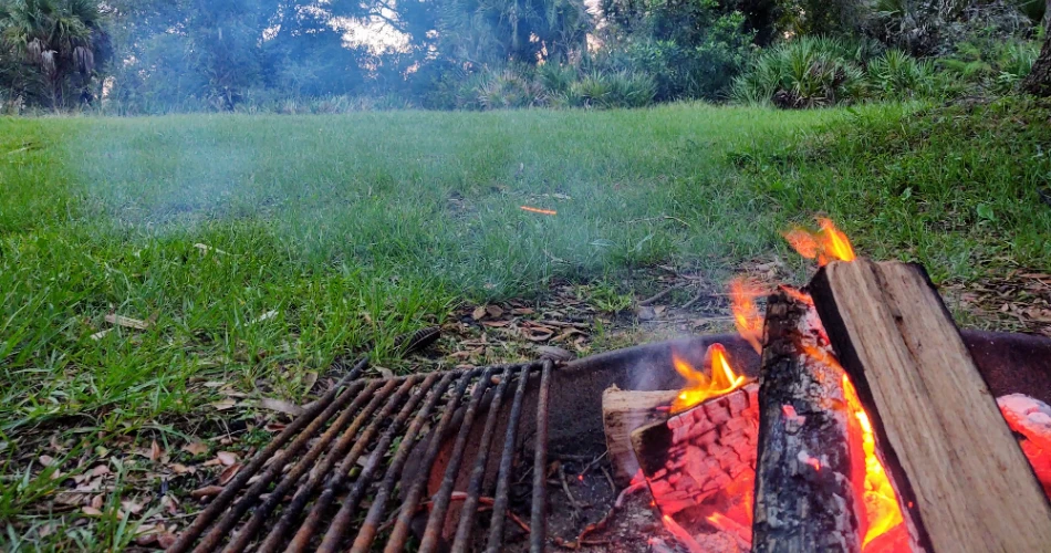 18 Amazing Things to do in Kissimmee Prairie Preserve State Park