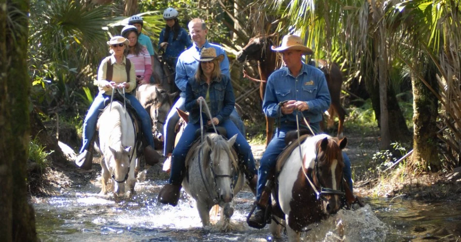 18 Amazing Things to do in Kissimmee Prairie Preserve State Park