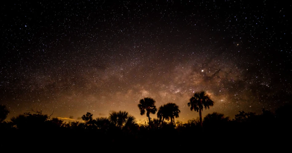 18 Amazing Things to do in Kissimmee Prairie Preserve State Park