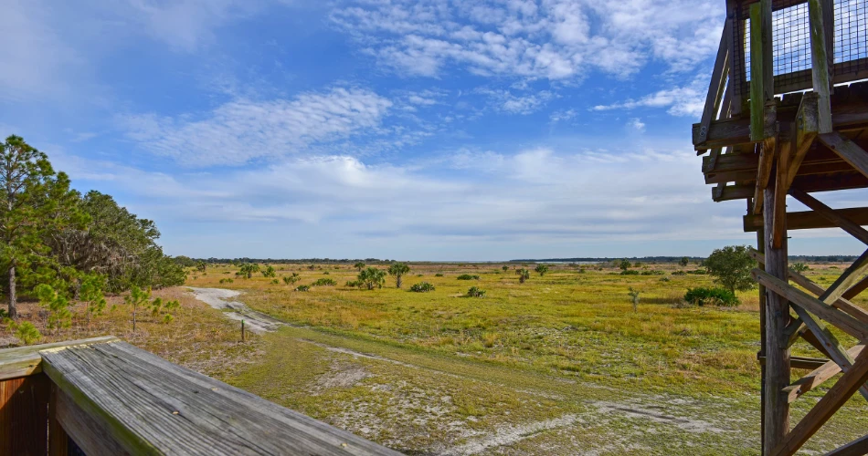 18 Amazing Things to do in Kissimmee Prairie Preserve State Park