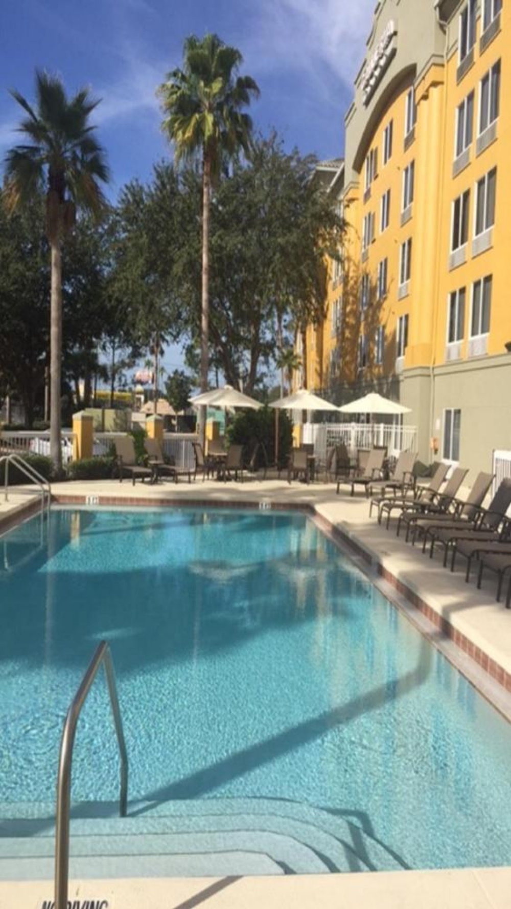 Galleria Palms Hotel To Disney World Outdoor Pool Lounge Chairs